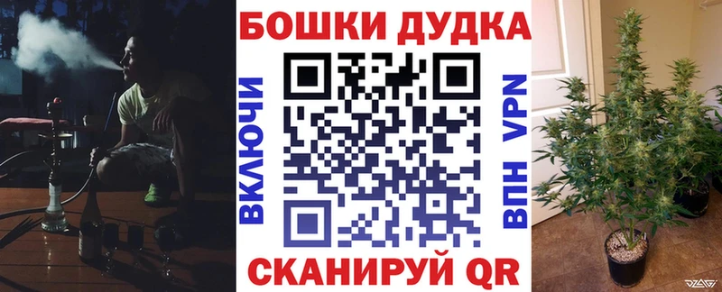 дарк нет клад  ссылка на мегу ССЫЛКА  Кировск  где продают   Каннабис план 